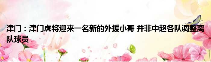 津门：津门虎将迎来一名新的外援小哥 并非中超各队调整离队球员