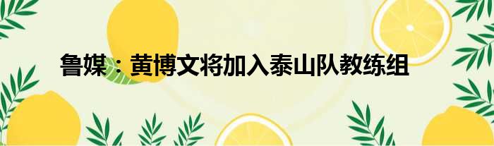 鲁媒：黄博文将加入泰山队教练组