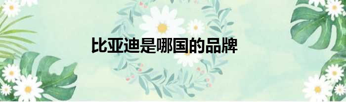 比亚迪是哪国的品牌
