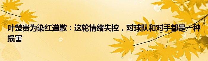 叶楚贵为染红道歉：这轮情绪失控，对球队和对手都是一种损害