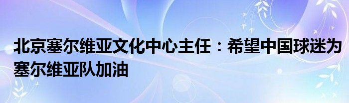 北京塞尔维亚文化中心主任：希望中国球迷为塞尔维亚队加油