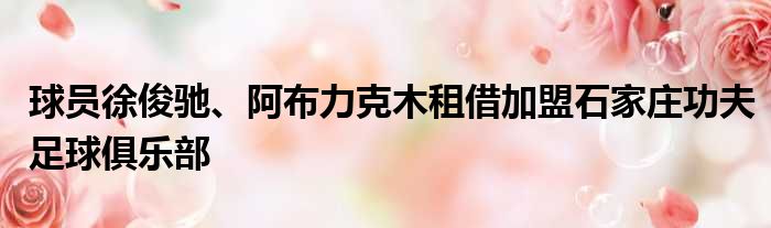 球员徐俊驰、阿布力克木租借加盟石家庄功夫足球俱乐部