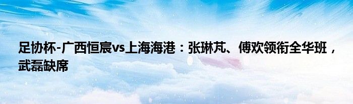 足协杯-广西恒宸vs上海海港：张琳芃、傅欢领衔全华班，武磊缺席