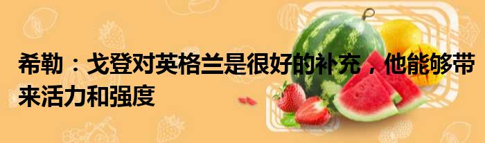希勒：戈登对英格兰是很好的补充，他能够带来活力和强度