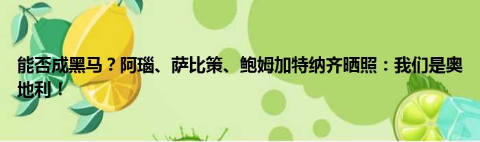 能否成黑马？阿瑙、萨比策、鲍姆加特纳齐晒照：我们是奥地利！