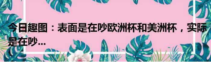 今日趣图：表面是在吵欧洲杯和美洲杯，实际是在吵...