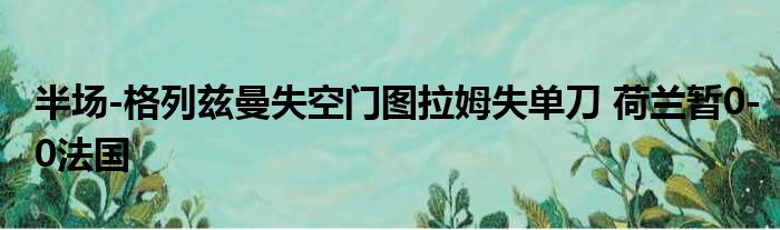 半场-格列兹曼失空门图拉姆失单刀 荷兰暂0-0法国