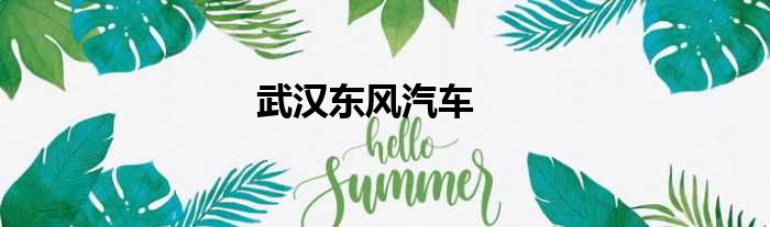 武汉东风汽车