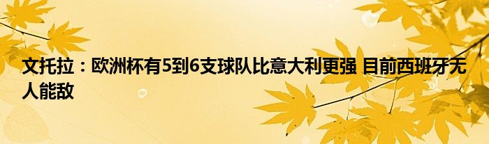 文托拉：欧洲杯有5到6支球队比意大利更强 目前西班牙无人能敌