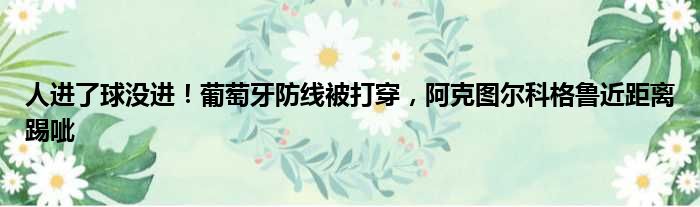 人进了球没进！葡萄牙防线被打穿，阿克图尔科格鲁近距离踢呲