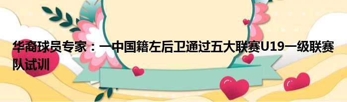 华裔球员专家：一中国籍左后卫通过五大联赛U19一级联赛队试训