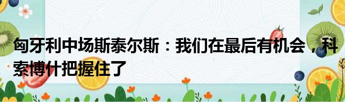 匈牙利中场斯泰尔斯：我们在最后有机会，科索博什把握住了