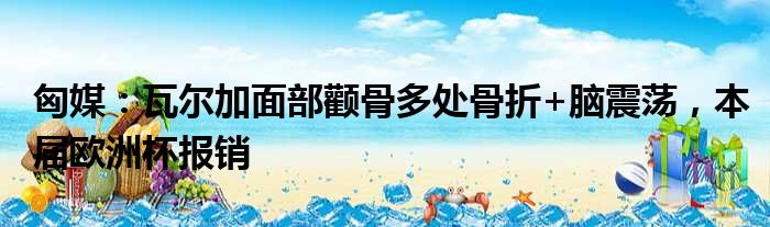匈媒：瓦尔加面部颧骨多处骨折+脑震荡，本届欧洲杯报销