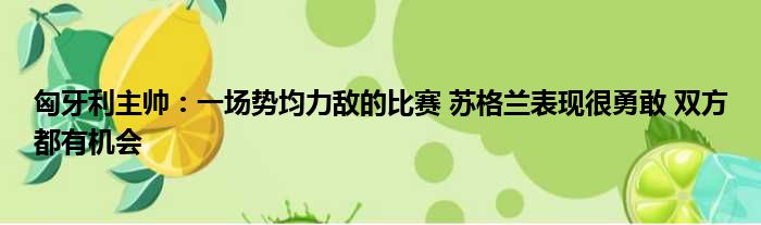 匈牙利主帅：一场势均力敌的比赛 苏格兰表现很勇敢 双方都有机会