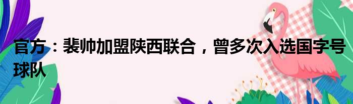 官方：裴帅加盟陕西联合，曾多次入选国字号球队