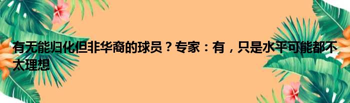 有无能归化但非华裔的球员？专家：有，只是水平可能都不太理想