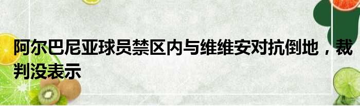 阿尔巴尼亚球员禁区内与维维安对抗倒地，裁判没表示