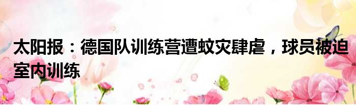 太阳报：德国队训练营遭蚊灾肆虐，球员被迫室内训练