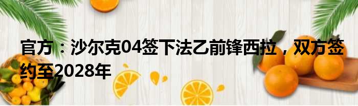 官方：沙尔克04签下法乙前锋西拉，双方签约至2028年