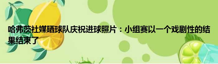 哈弗茨社媒晒球队庆祝进球照片：小组赛以一个戏剧性的结果结束了