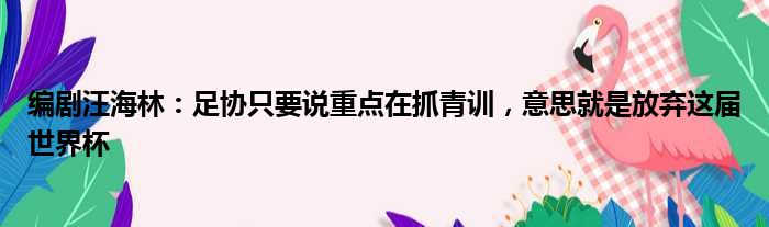 编剧汪海林：足协只要说重点在抓青训，意思就是放弃这届世界杯