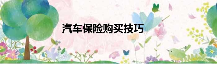 汽车保险购买技巧