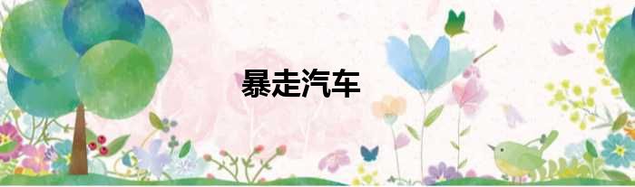 暴走汽车