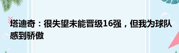 塔迪奇：很失望未能晋级16强，但我为球队感到骄傲