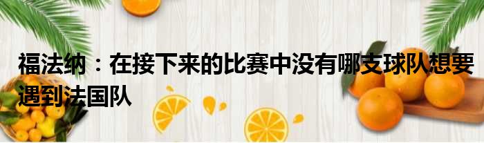 福法纳：在接下来的比赛中没有哪支球队想要遇到法国队