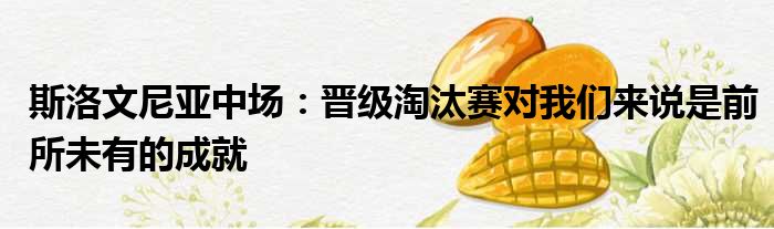 斯洛文尼亚中场：晋级淘汰赛对我们来说是前所未有的成就