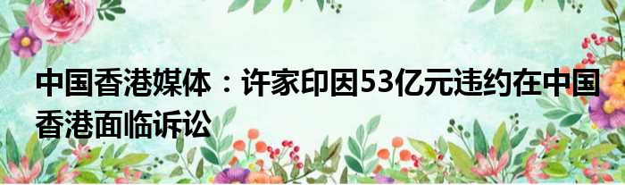 中国香港媒体：许家印因53亿元违约在中国香港面临诉讼