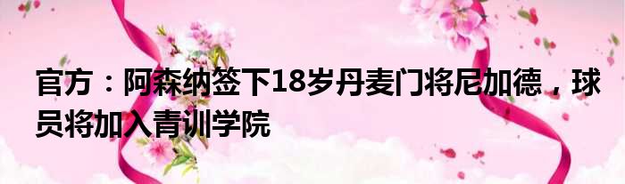 官方：阿森纳签下18岁丹麦门将尼加德，球员将加入青训学院