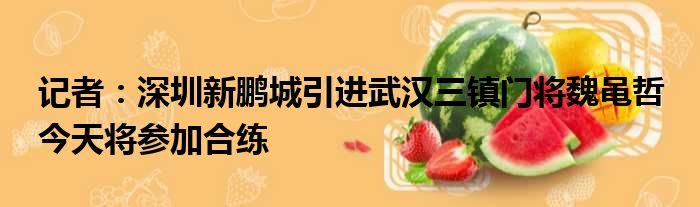记者：深圳新鹏城引进武汉三镇门将魏黾哲 今天将参加合练