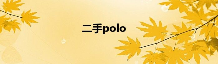 二手polo