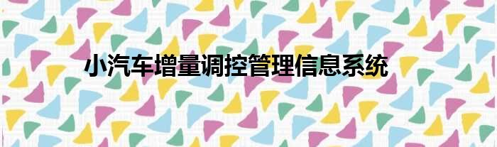 小汽车增量调控管理信息系统