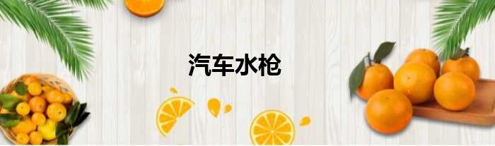 汽车水枪
