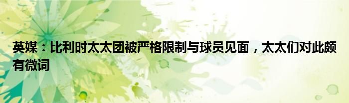 英媒：比利时太太团被严格限制与球员见面，太太们对此颇有微词
