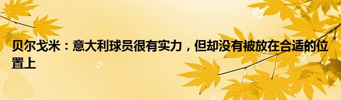 贝尔戈米：意大利球员很有实力，但却没有被放在合适的位置上