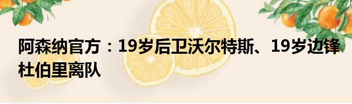 阿森纳官方：19岁后卫沃尔特斯、19岁边锋杜伯里离队
