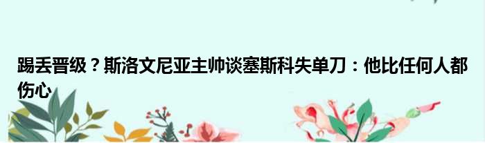 踢丢晋级？斯洛文尼亚主帅谈塞斯科失单刀：他比任何人都伤心
