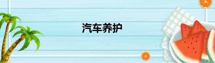 汽车养护