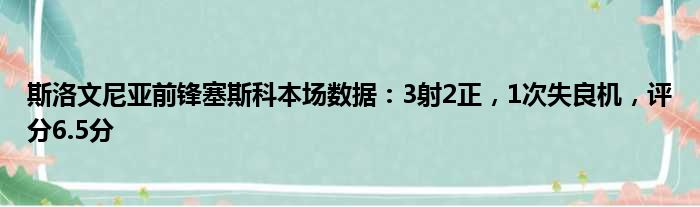 斯洛文尼亚前锋塞斯科本场数据：3射2正，1次失良机，评分6.5分
