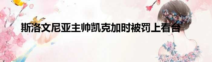 斯洛文尼亚主帅凯克加时被罚上看台