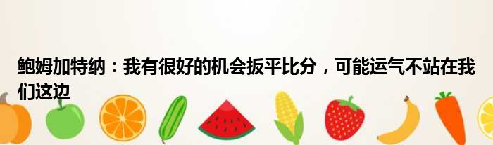 鲍姆加特纳：我有很好的机会扳平比分，可能运气不站在我们这边