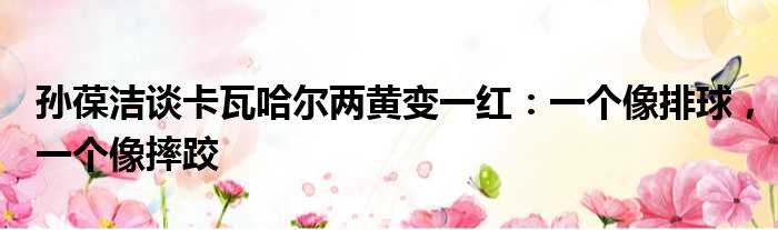 孙葆洁谈卡瓦哈尔两黄变一红：一个像排球，一个像摔跤