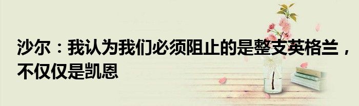 沙尔：我认为我们必须阻止的是整支英格兰，不仅仅是凯恩