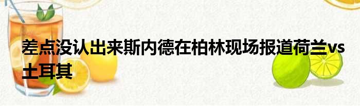 差点没认出来斯内德在柏林现场报道荷兰vs土耳其