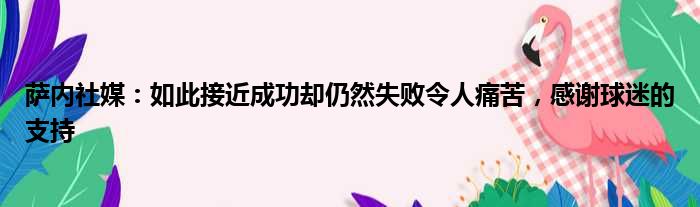 萨内社媒：如此接近成功却仍然失败令人痛苦，感谢球迷的支持