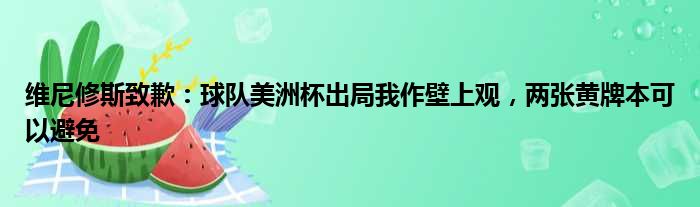 维尼修斯致歉：球队美洲杯出局我作壁上观，两张黄牌本可以避免