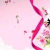 郑州无牌宝马z4女
